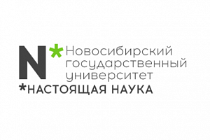 Подготовлена презентация 23 старт-апов студентов факультета информационных технологий НГУ. Некоторые из них могут быть использованы в работе нашей компании.